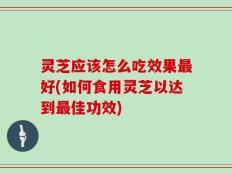 灵芝应该怎么吃效果最好(如何食用灵芝以达到最佳功效)