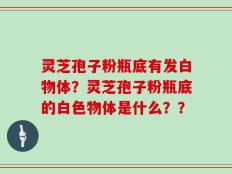 灵芝孢子粉瓶底有发白物体？灵芝孢子粉瓶底的白色物体是什么？？