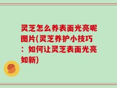 灵芝怎么养表面光亮呢图片(灵芝养护小技巧：如何让灵芝表面光亮如新)