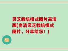 灵芝栽培模式图片高清版(高清灵芝栽培模式图片，分享给您！)