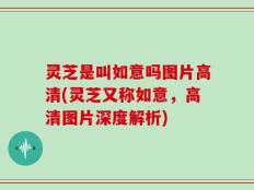 灵芝是叫如意吗图片高清(灵芝又称如意，高清图片深度解析)