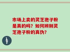 市场上卖的灵芝孢子粉是真的吗？如何辨别灵芝孢子粉的真伪？