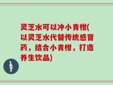 灵芝水可以冲小青柑(以灵芝水代替传统感冒药，结合小青柑，打造养生饮品)