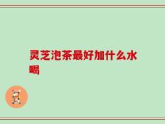 灵芝泡茶最好加什么水喝