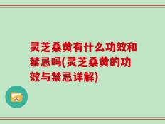 灵芝桑黄有什么功效和禁忌吗(灵芝桑黄的功效与禁忌详解)