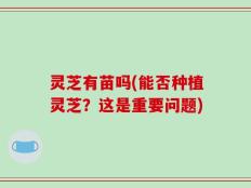 灵芝有苗吗(能否种植灵芝？这是重要问题)