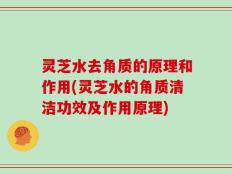 灵芝水去角质的原理和作用(灵芝水的角质清洁功效及作用原理)