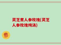 灵芝煮人参玫瑰(灵芝人参玫瑰炖汤)