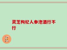 灵芝枸杞人参泡酒行不行