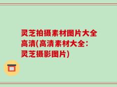 灵芝拍摄素材图片大全高清(高清素材大全：灵芝摄影图片)