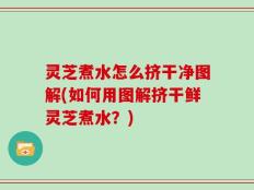 灵芝煮水怎么挤干净图解(如何用图解挤干鲜灵芝煮水？)