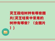灵芝栽培树种有哪些图片(灵芝培育中常用的树种有哪些？（含图片）)
