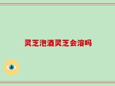 灵芝泡酒灵芝会溶吗