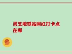 灵芝地铁站网红打卡点在哪