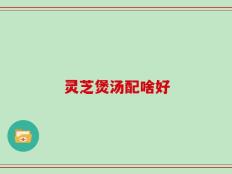 灵芝煲汤配啥好