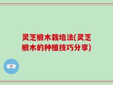 灵芝椴木栽培法(灵芝椴木的种植技巧分享)