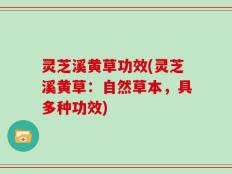 灵芝溪黄草功效(灵芝溪黄草：自然草本，具多种功效)