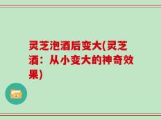 灵芝泡酒后变大(灵芝酒：从小变大的神奇效果)