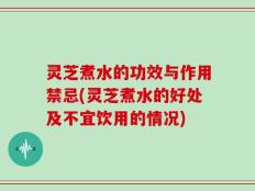灵芝煮水的功效与作用禁忌(灵芝煮水的好处及不宜饮用的情况)