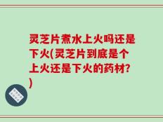 灵芝片煮水上火吗还是下火(灵芝片到底是个上火还是下火的药材？)