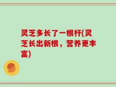 灵芝多长了一根杆(灵芝长出新根，营养更丰富)