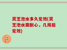 灵芝泡水多久见效(灵芝泡水需耐心，几周后见效)