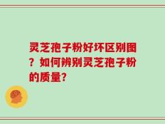 灵芝孢子粉好坏区别图？如何辨别灵芝孢子粉的质量？