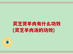 灵芝煲羊肉有什么功效(灵芝羊肉汤的功效)