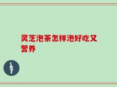 灵芝泡茶怎样泡好吃又营养