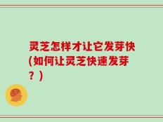 灵芝怎样才让它发芽快(如何让灵芝快速发芽？)