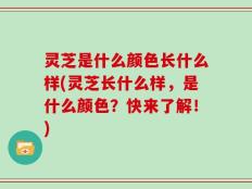 灵芝是什么颜色长什么样(灵芝长什么样，是什么颜色？快来了解！)