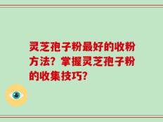 灵芝孢子粉最好的收粉方法？掌握灵芝孢子粉的收集技巧？
