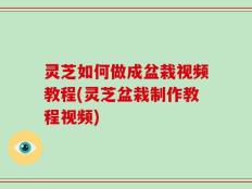 灵芝如何做成盆栽视频教程(灵芝盆栽制作教程视频)