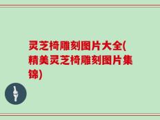 灵芝椅雕刻图片大全(精美灵芝椅雕刻图片集锦)