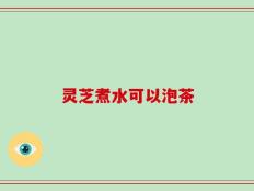 灵芝煮水可以泡茶
