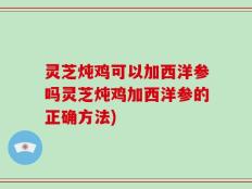 灵芝炖鸡可以加西洋参吗灵芝炖鸡加西洋参的正确方法)