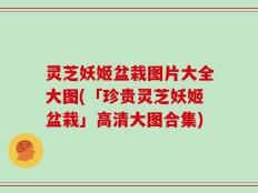 灵芝妖姬盆栽图片大全大图(「珍贵灵芝妖姬盆栽」高清大图合集)