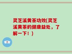 灵芝溪黄茶功效(灵芝溪黄茶的健康益处，了解一下！)