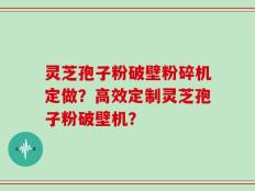 灵芝孢子粉破壁粉碎机定做？高效定制灵芝孢子粉破壁机？