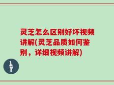 灵芝怎么区别好坏视频讲解(灵芝品质如何鉴别，详细视频讲解)
