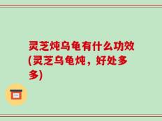 灵芝炖乌龟有什么功效(灵芝乌龟炖，好处多多)