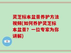 灵芝标本盆景养护方法视频(如何养护灵芝标本盆景？一位专家为你讲解)