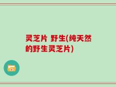 灵芝片 野生(纯天然的野生灵芝片)
