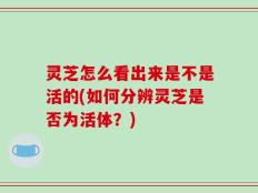 灵芝怎么看出来是不是活的(如何分辨灵芝是否为活体？)