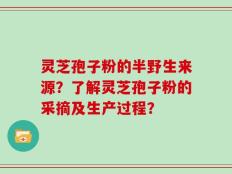 灵芝孢子粉的半野生来源？了解灵芝孢子粉的采摘及生产过程？