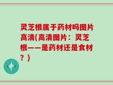 灵芝根属于药材吗图片高清(高清图片：灵芝根——是药材还是食材？)