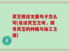 灵芝探店文案句子怎么写(走进灵芝之境，探寻灵芝的种植与加工之道)