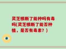 灵芝根断了能种吗有毒吗(灵芝根断了能否种植，是否有毒素？)