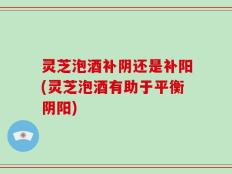 灵芝泡酒补阴还是补阳(灵芝泡酒有助于平衡阴阳)
