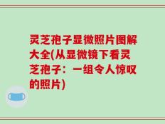 灵芝孢子显微照片图解大全(从显微镜下看灵芝孢子：一组令人惊叹的照片)